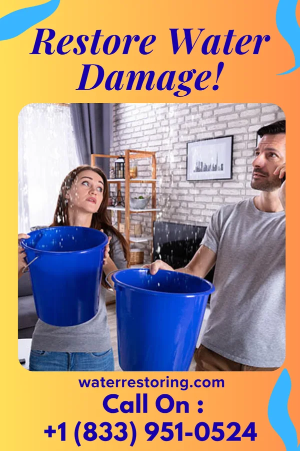 water restoration Modern Flood Damage Partners Monroe