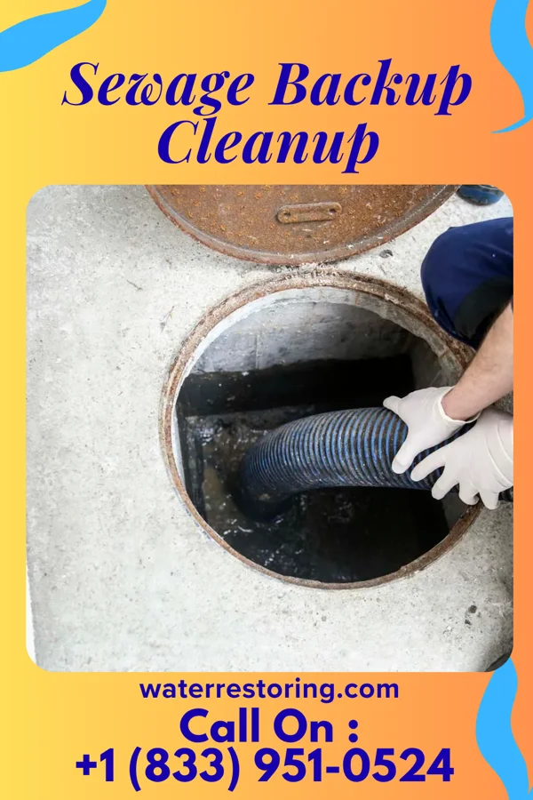 Sewage Backup Cleanup in Monroe, NC