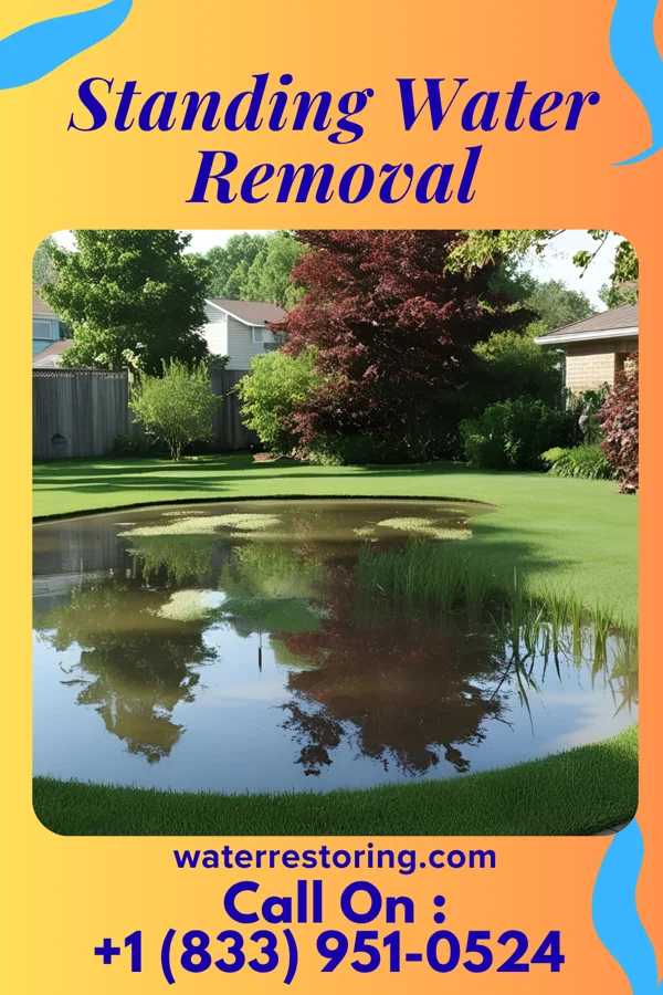 Standing Water Removal in Monroe, NC